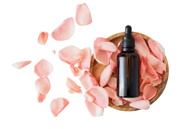 Hakkımızda 1 rosa damascena